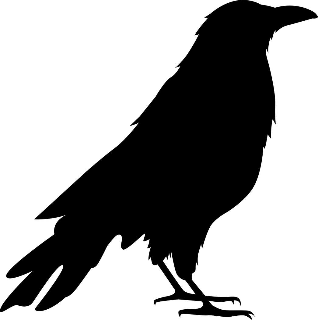 Crow Silhouette Illustration